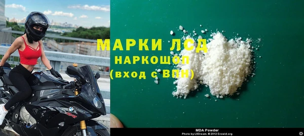 молекула духа Арсеньев