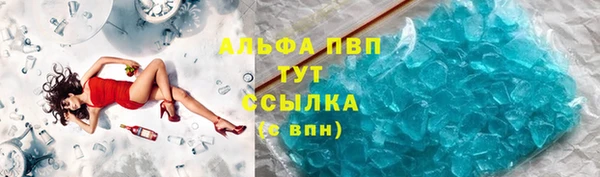 молекула духа Арсеньев