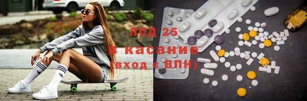 молекула духа Арсеньев